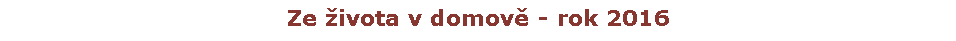 Textov pole: Ze ivota v domov - rok 2016
